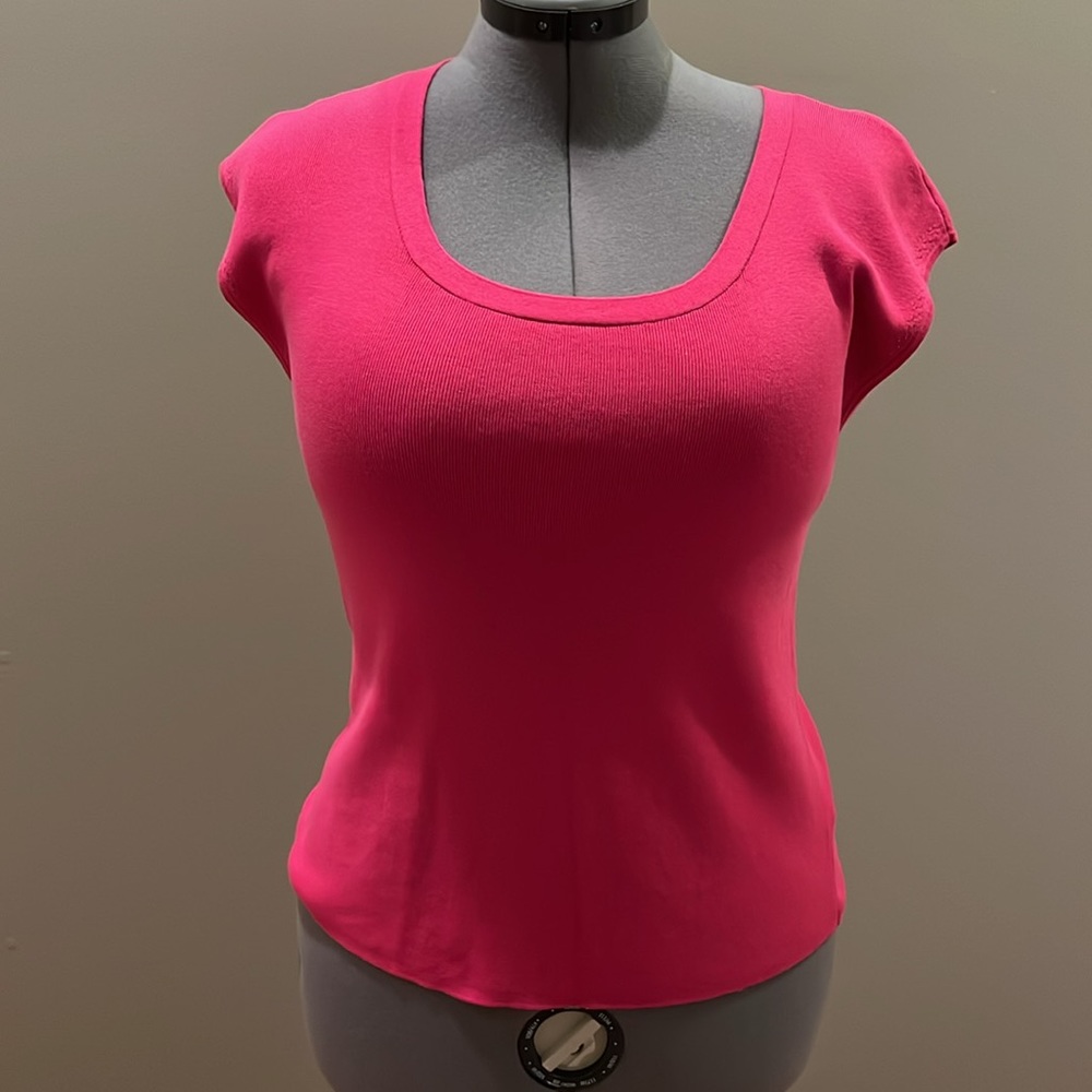 Talbots shell - Picture 2 of 2